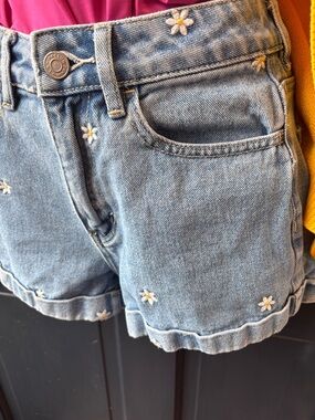 PacSun Light Blue Daisy Embroidered Denim Shorts